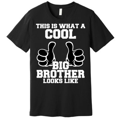 This Is What A Cool Big Bro Looks Like Premium T-Shirt