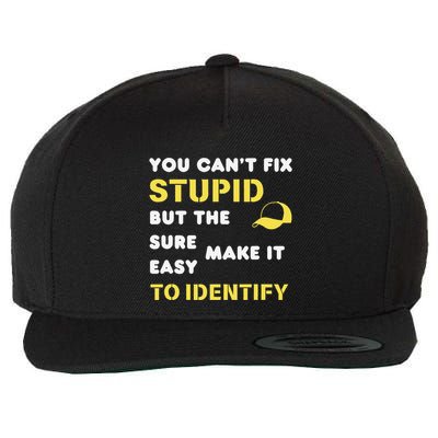 The Hats Make It Easy To Identify CanT Fix Stupid Wool Snapback Cap