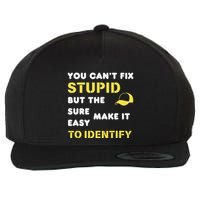 The Hats Make It Easy To Identify CanT Fix Stupid Wool Snapback Cap