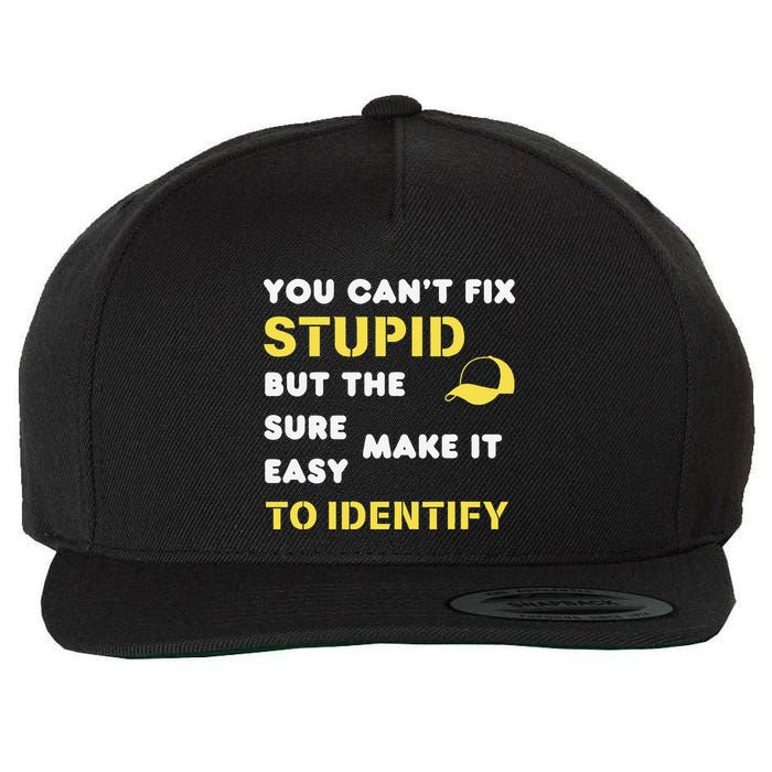 The Hats Make It Easy To Identify CanT Fix Stupid Wool Snapback Cap