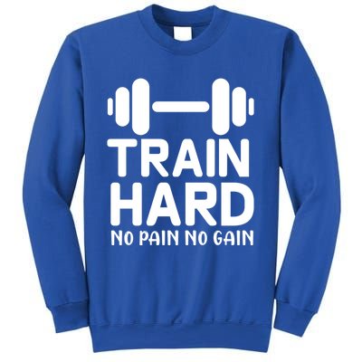 Train Hard No Pain No Gain Gift Funny Gym Workout Gift Sweatshirt