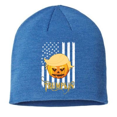 Trump Halloween Pumpkin Carving Funny Usa Flag Trumpkin Gift Sustainable Beanie