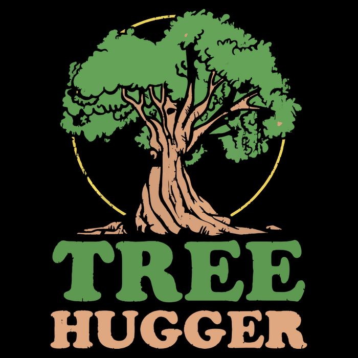 Tree Hugger Retro Vintage Environmental Nature Lover 16 in Basic Backpack