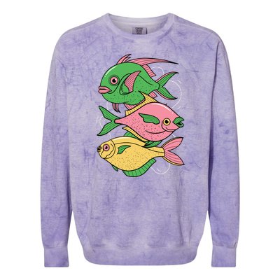 Three Colorful Fishes Colorblast Crewneck Sweatshirt