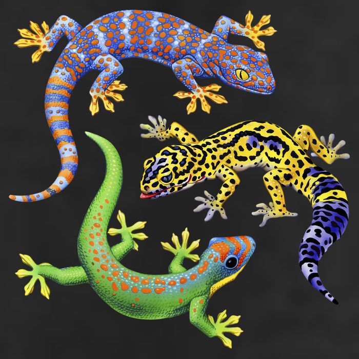 Three Geckos Cool Comfort Performance Bucket Hat