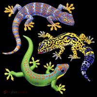 Three Geckos Impact Tech Backpack