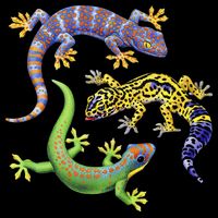 Three Geckos Cooling Performance Long Sleeve Crew