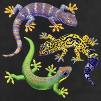 Three Geckos Golf Towel