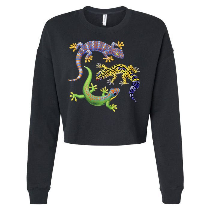 Three Geckos Cropped Pullover Crew