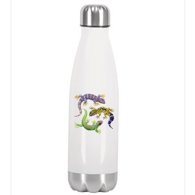 Three Geckos Stainless Steel Insulated Water Bottle