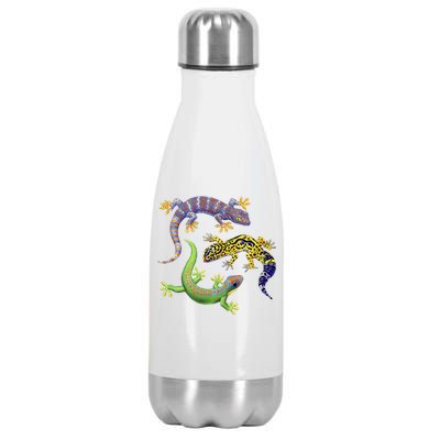 Three Geckos Stainless Steel Insulated Water Bottle