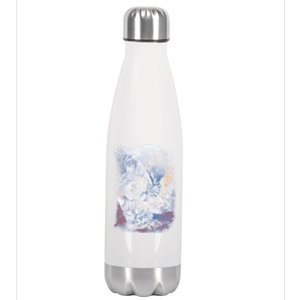 Three Moon Space Cats Stainless Steel Insulated Water Bottle