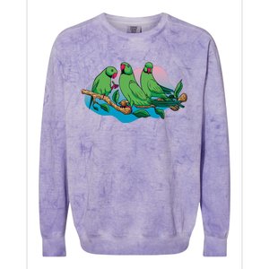 Three Parrots Colorblast Crewneck Sweatshirt