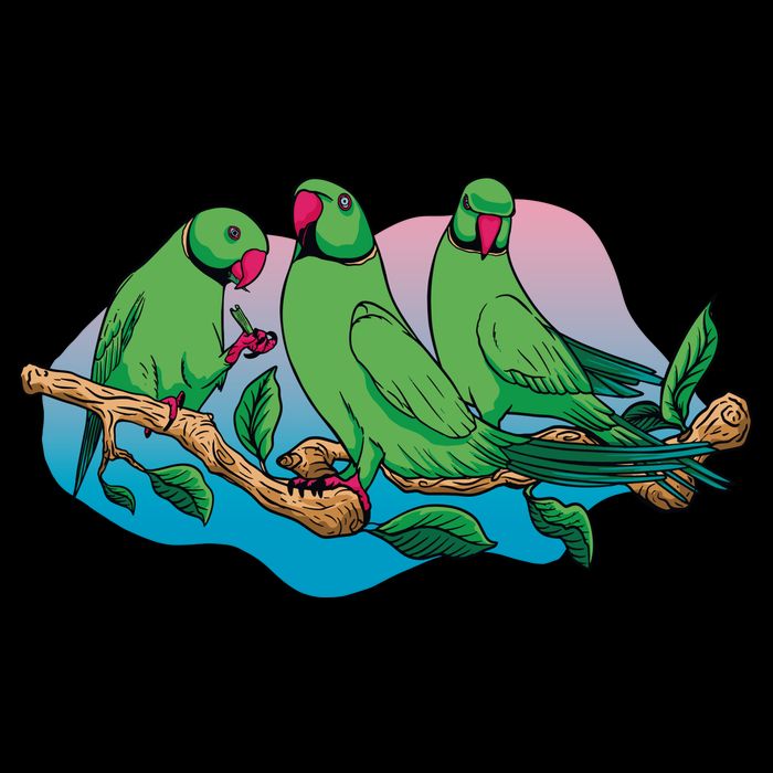 Three Parrots Backpack