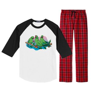 Three Parrots Raglan Sleeve Pajama Set