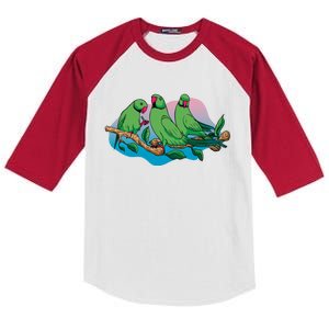 Three Parrots Kids Colorblock Raglan Jersey