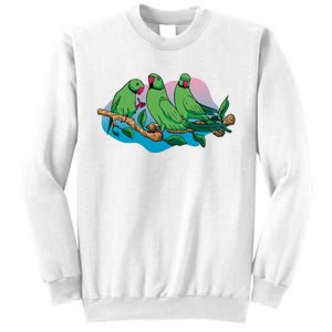 Three Parrots Sweatshirt