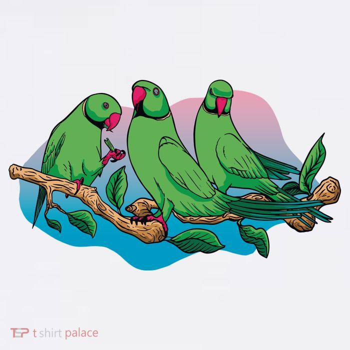 Three Parrots 11oz C Handle Ceramic Mug