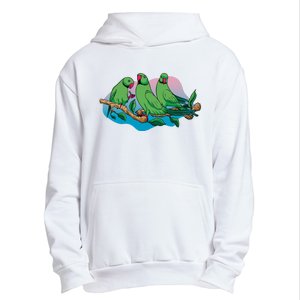 Three Parrots Urban Pullover Hoodie