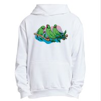 Three Parrots Urban Pullover Hoodie