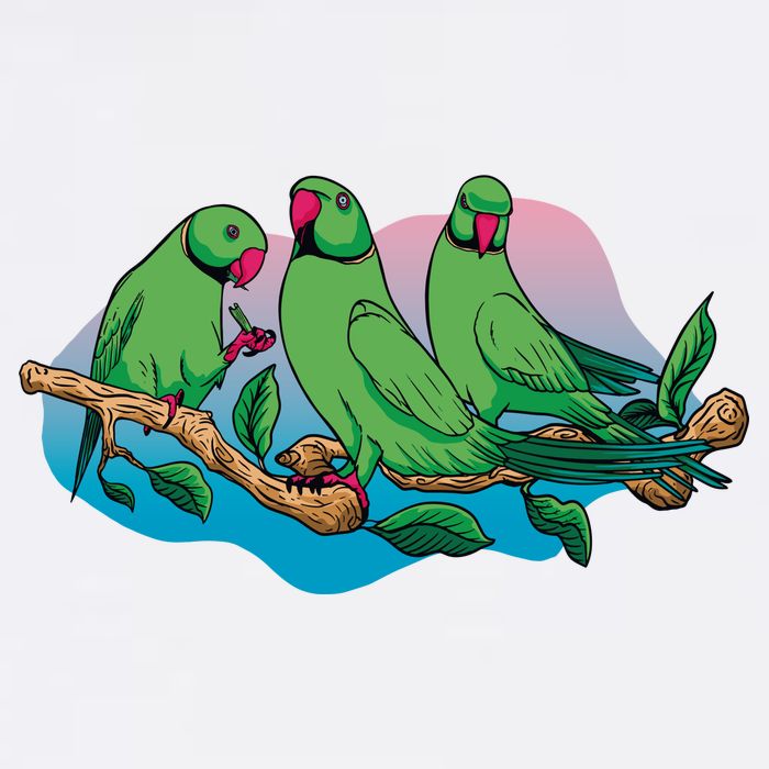 Three Parrots Mesh Reversible Basketball Jersey Tank