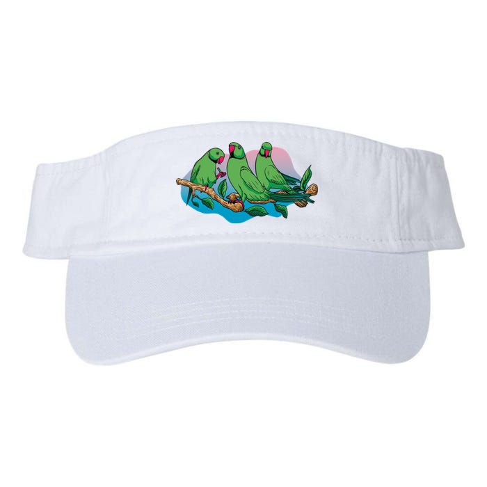 Three Parrots Valucap Bio-Washed Visor