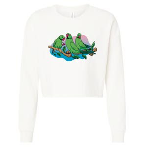 Three Parrots Cropped Pullover Crew