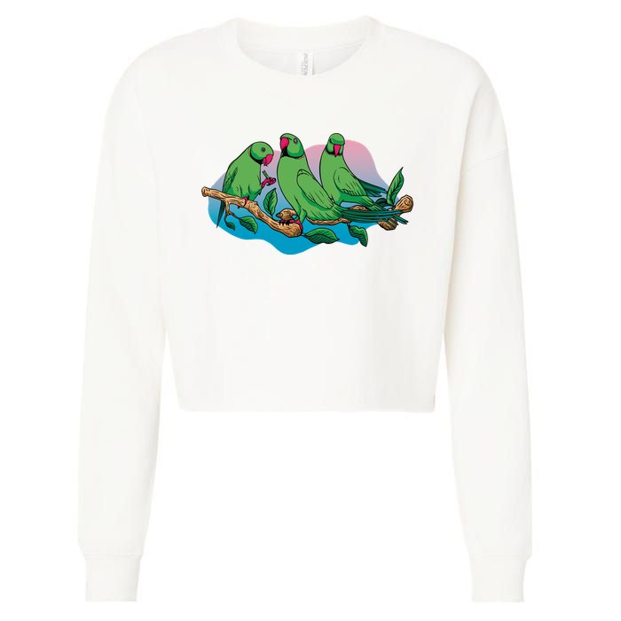 Three Parrots Cropped Pullover Crew