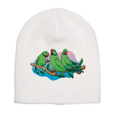 Three Parrots Short Acrylic Beanie