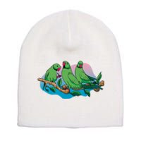 Three Parrots Short Acrylic Beanie