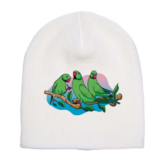 Three Parrots Short Acrylic Beanie