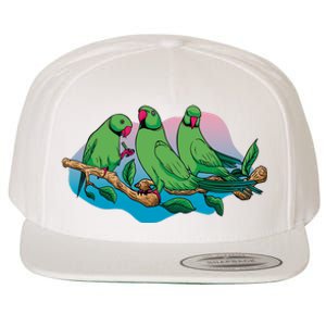 Three Parrots Wool Snapback Cap