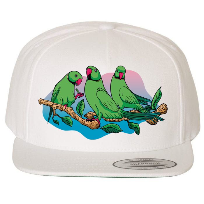 Three Parrots Wool Snapback Cap