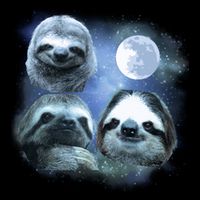 Three Sloths In Space Backpack