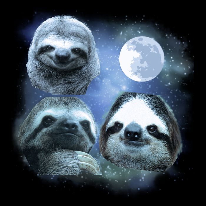 Three Sloths In Space 7-Panel Snapback Hat