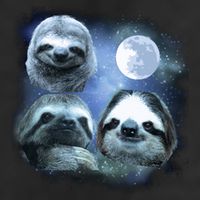 Three Sloths In Space 15oz Campfire Ceramic Mug
