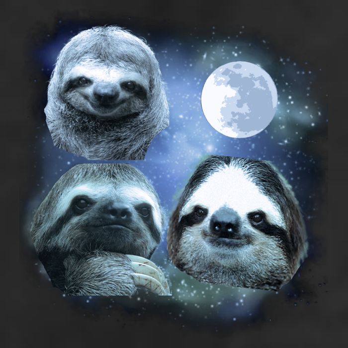 Three Sloths In Space 15oz Campfire Ceramic Mug
