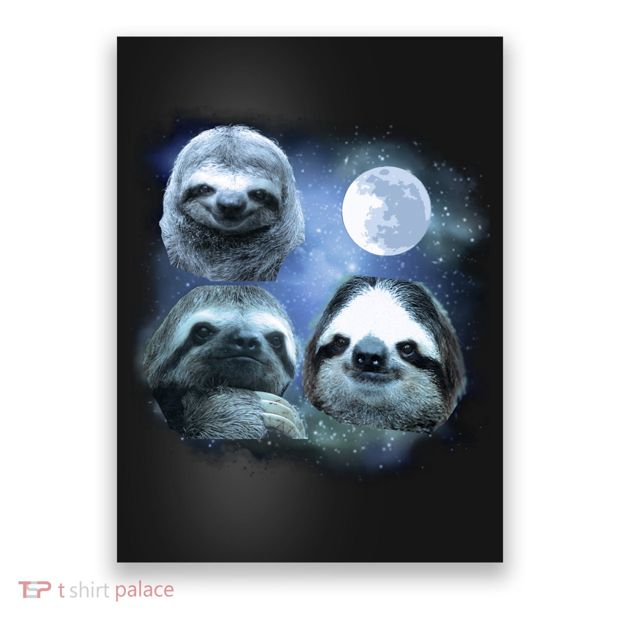 Three Sloths In Space Poster