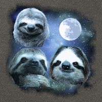 Three Sloths In Space Cotton Canvas Backpack