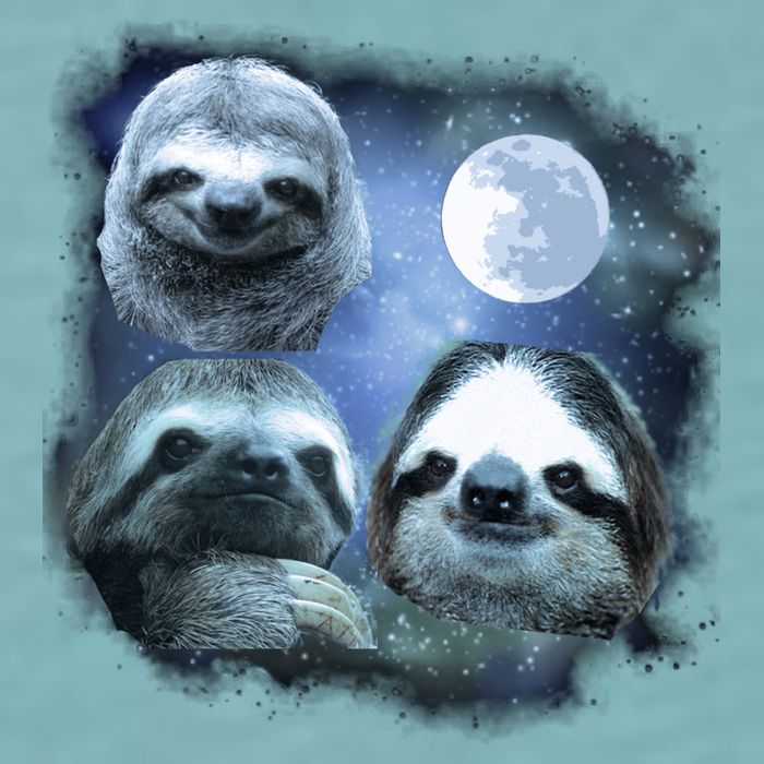Three Sloths In Space Sueded Cloud Jersey T-Shirt