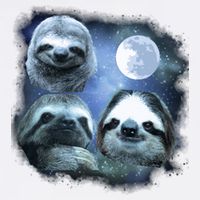 Three Sloths In Space Garment-Dyed Sweatshirt