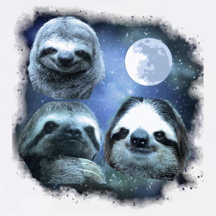 Three Sloths In Space Garment-Dyed Sweatshirt