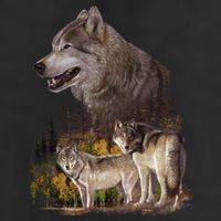 Three Wolf Collage Cool Comfort Performance Bucket Hat