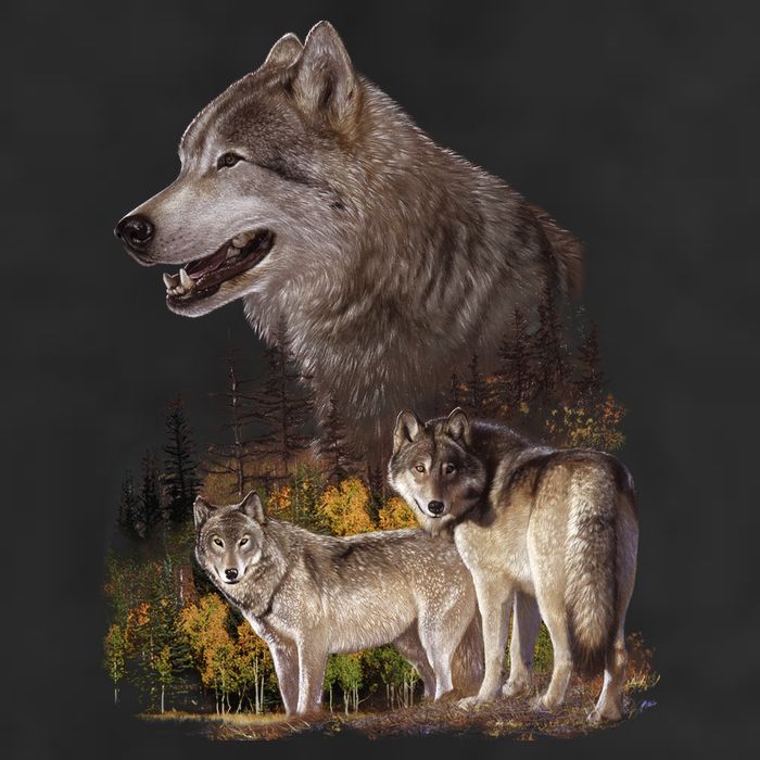 Three Wolf Collage Cool Comfort Performance Bucket Hat