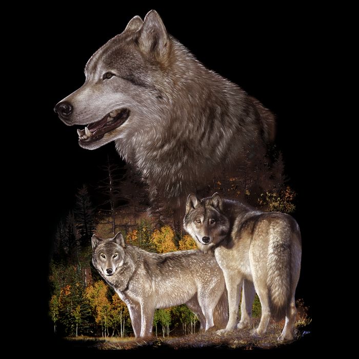 Three Wolf Collage Cooling Performance Crew T-Shirt