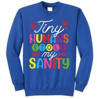 Tiny Hu Stole My Sanity Sitter Gift Sweatshirt