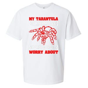 Tarantula Hairy Spiders Arachnid Entomophile Entomologist Sueded Cloud Jersey T-Shirt