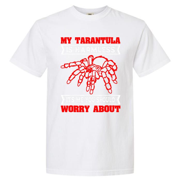 Tarantula Hairy Spiders Arachnid Entomophile Entomologist Garment-Dyed Heavyweight T-Shirt