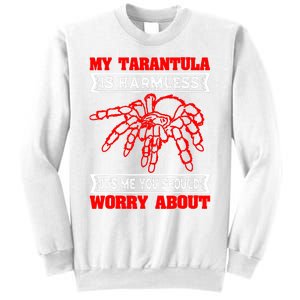 Tarantula Hairy Spiders Arachnid Entomophile Entomologist Sweatshirt