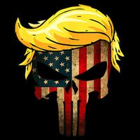 Trump Hair Skull 4th Of July US Flag Trump 16 in Basic Backpack